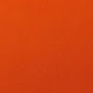 Meet your Posher, Fadia